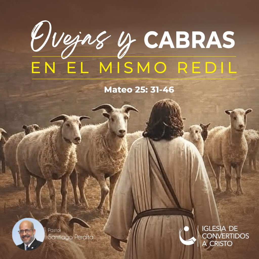 Ovejas y cabras en el mismo redil